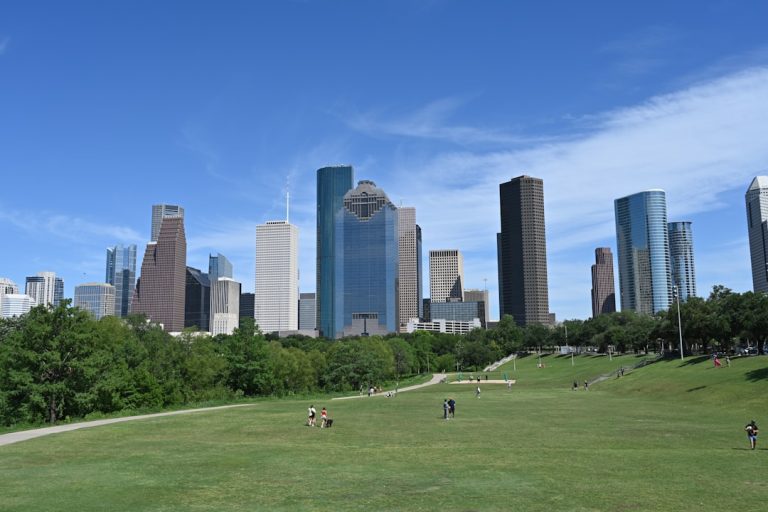 Houston online visibility